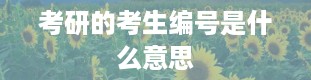 考研的考生编号是什么意思