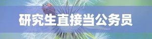 研究生直接当公务员