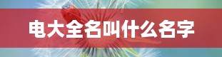 电大全名叫什么名字