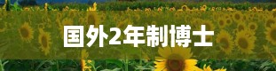 国外2年制博士