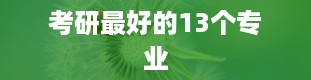 考研最好的13个专业