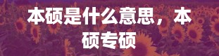 本硕是什么意思，本硕专硕