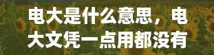 电大是什么意思，电大文凭一点用都没有是吗