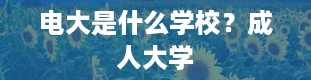 电大是什么学校？成人大学