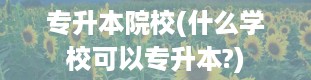 专升本院校(什么学校可以专升本?)