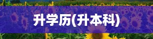 升学历(升本科)