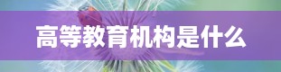 高等教育机构是什么