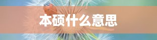 本硕什么意思