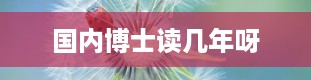 国内博士读几年呀