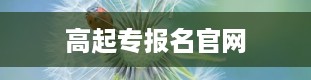 高起专报名官网