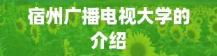 宿州广播电视大学的介绍