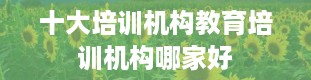 十大培训机构教育培训机构哪家好