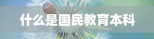 什么是国民教育本科