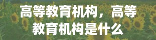 高等教育机构，高等教育机构是什么