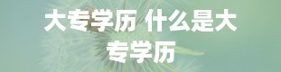 大专学历 什么是大专学历