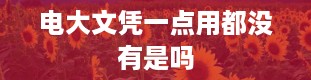 电大文凭一点用都没有是吗