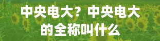 中央电大？中央电大的全称叫什么