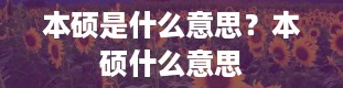 本硕是什么意思？本硕什么意思