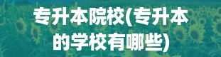 专升本院校(专升本的学校有哪些)