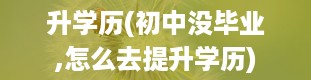 升学历(初中没毕业,怎么去提升学历)