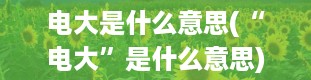 电大是什么意思(“电大”是什么意思)