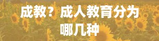 成教？成人教育分为哪几种