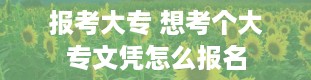 报考大专 想考个大专文凭怎么报名