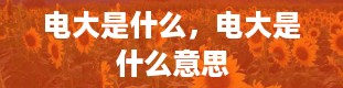 电大是什么，电大是什么意思