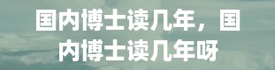 国内博士读几年，国内博士读几年呀