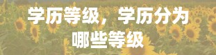 学历等级，学历分为哪些等级