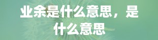 业余是什么意思，是什么意思