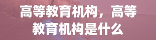 高等教育机构，高等教育机构是什么