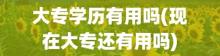 大专学历有用吗(现在大专还有用吗)