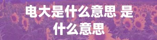 电大是什么意思 是什么意思