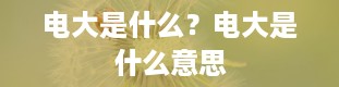 电大是什么？电大是什么意思