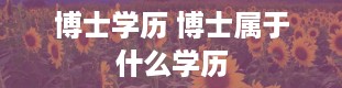 博士学历 博士属于什么学历