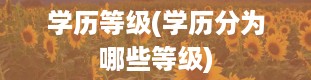 学历等级(学历分为哪些等级)