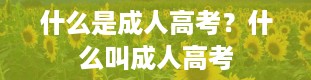 什么是成人高考？什么叫成人高考