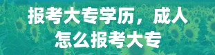 报考大专学历，成人怎么报考大专