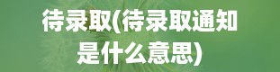 待录取(待录取通知是什么意思)