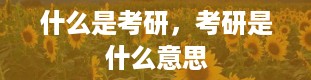 什么是考研，考研是什么意思