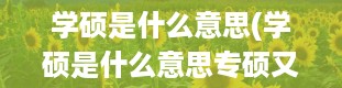 学硕是什么意思(学硕是什么意思专硕又是什么意思)