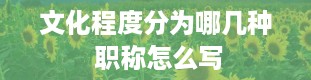 文化程度分为哪几种 职称怎么写