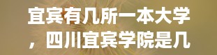 宜宾有几所一本大学，四川宜宾学院是几本