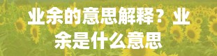 业余的意思解释？业余是什么意思