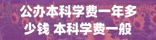 公办本科学费一年多少钱 本科学费一般多少一年