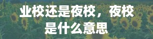 业校还是夜校，夜校是什么意思