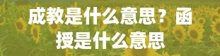 成教是什么意思？函授是什么意思