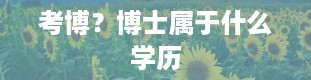 考博？博士属于什么学历