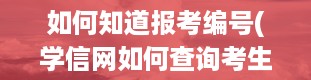 如何知道报考编号(学信网如何查询考生编号)